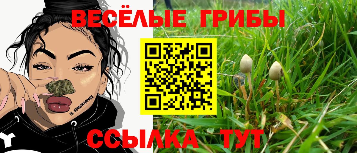 Галлюциногенные грибы Psilocybine cubensis  Галлюциногенные грибы MAGIC MUSHROOMS  Вход с VPN  хочу   Беслан 